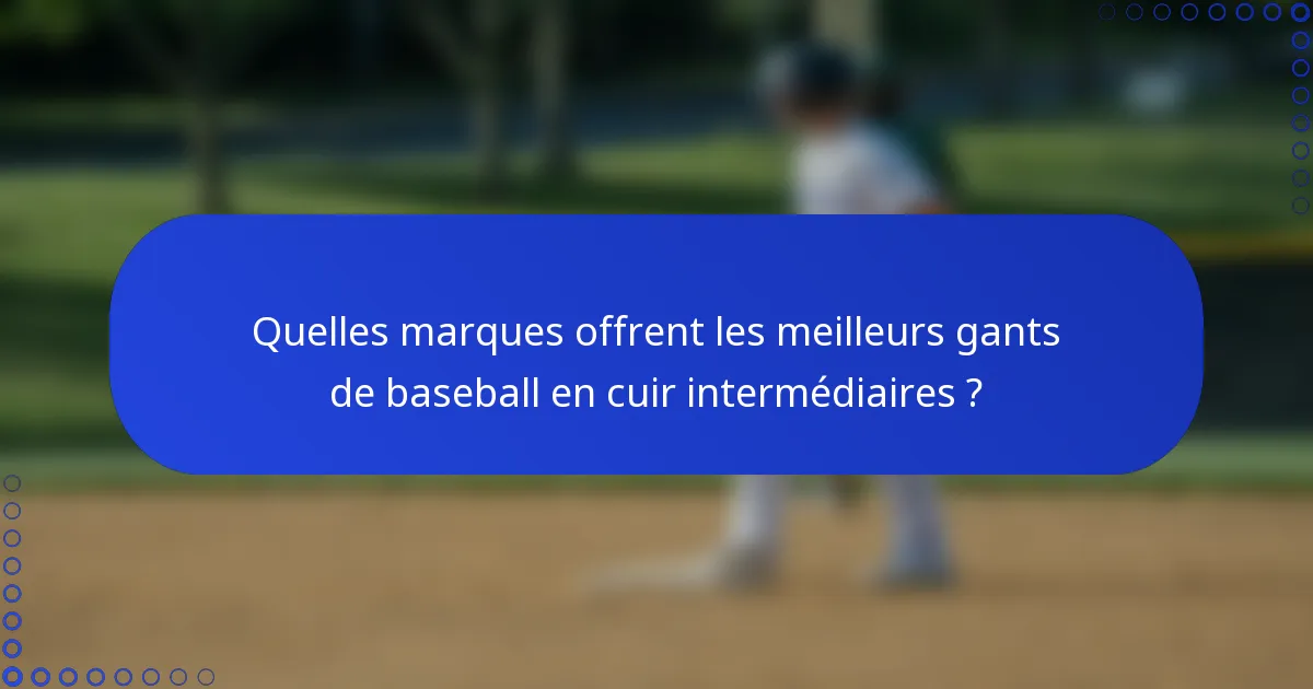 Quelles marques offrent les meilleurs gants de baseball en cuir intermédiaires ?