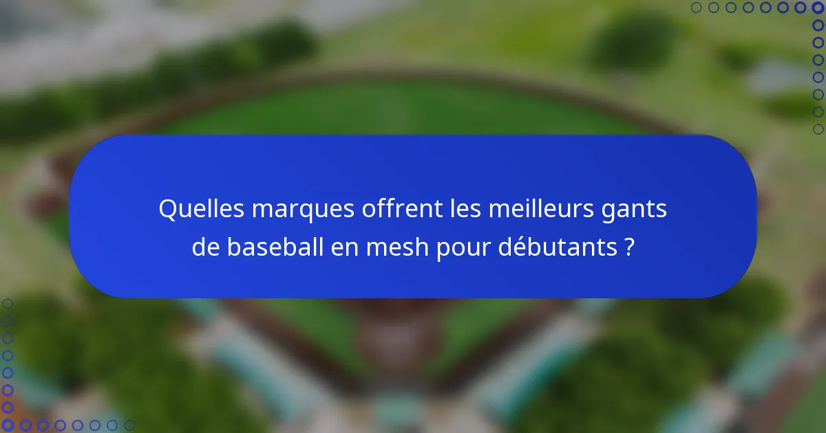 Quelles marques offrent les meilleurs gants de baseball en mesh pour débutants ?