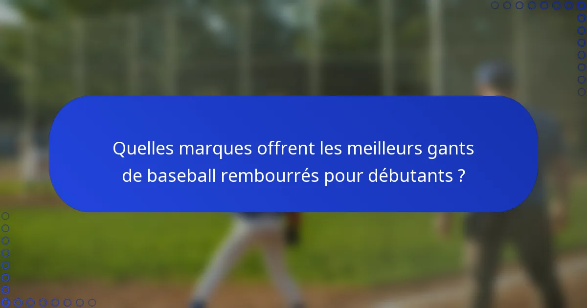 Quelles marques offrent les meilleurs gants de baseball rembourrés pour débutants ?