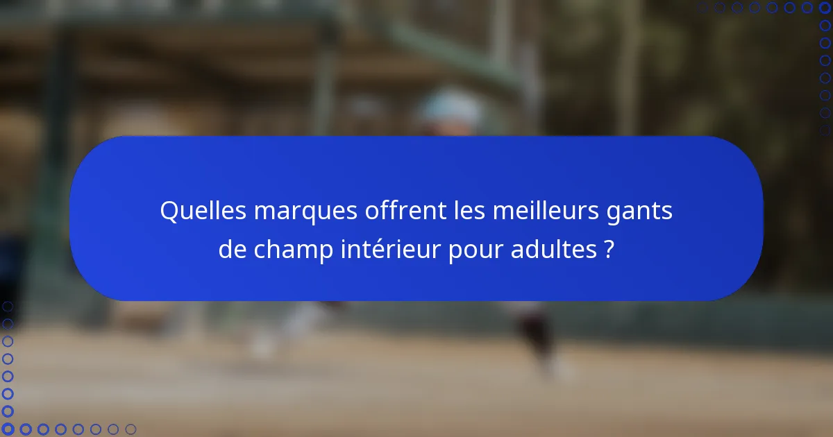 Quelles marques offrent les meilleurs gants de champ intérieur pour adultes ?