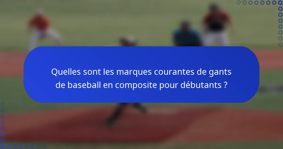 Quelles sont les marques courantes de gants de baseball en composite pour débutants ?